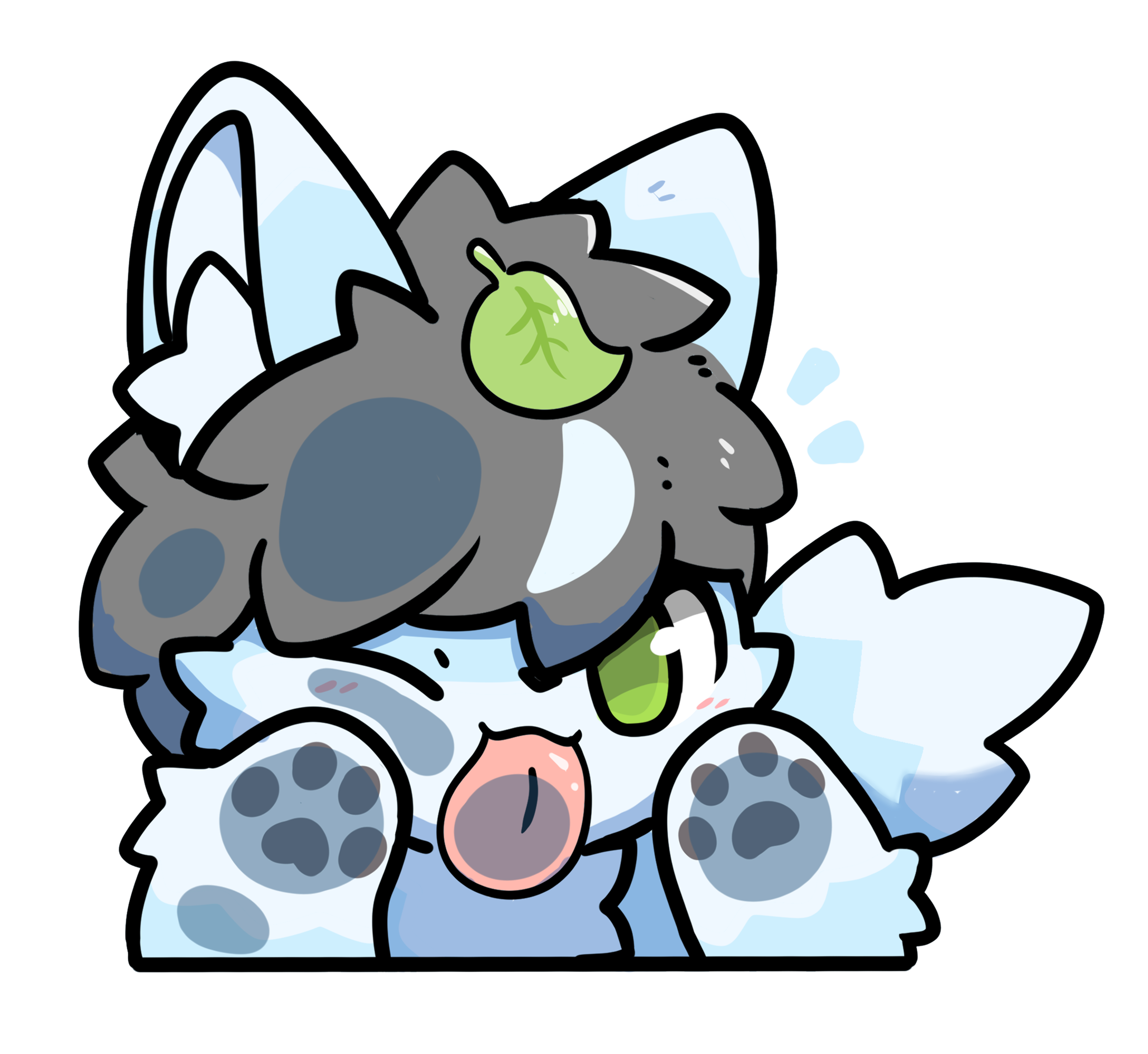 舔螢幕的巧克布